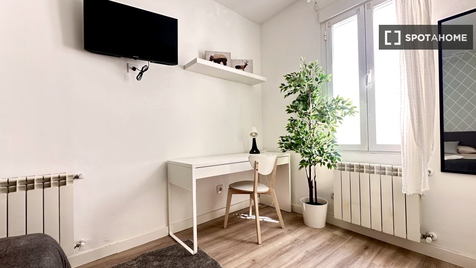 Camera doppia Madrid, 2 camere — foto 11