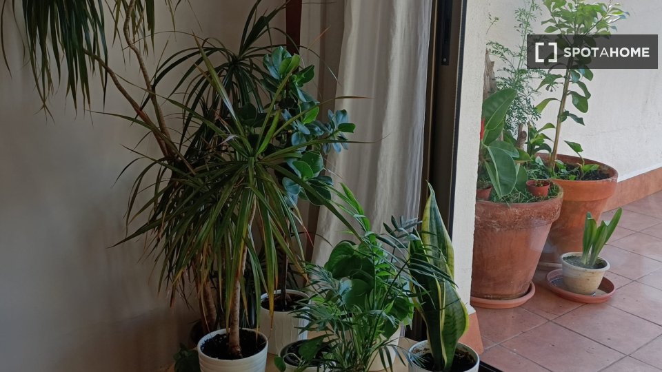 Double room Barcelona, 3 beds, 140m² — photo 14