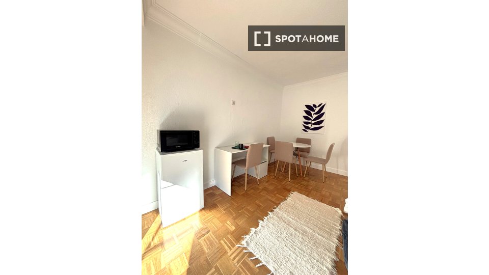 Double room Madrid, 8 beds, 160m² — photo 23