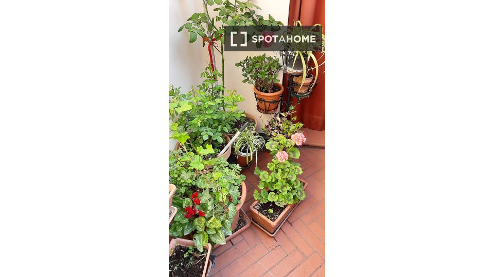 Apartment Bologna, 2 beds, 85m² — photo 10