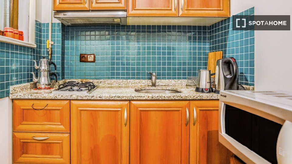 Apartment Istanbul, 1 bed — photo 12