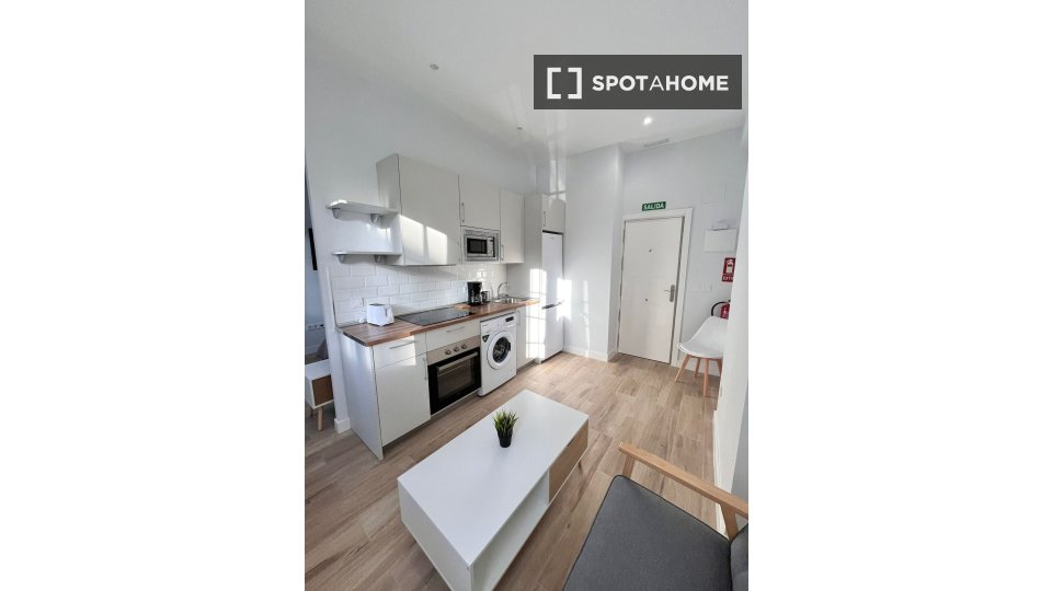 Apartment mono Madrid — photo 8