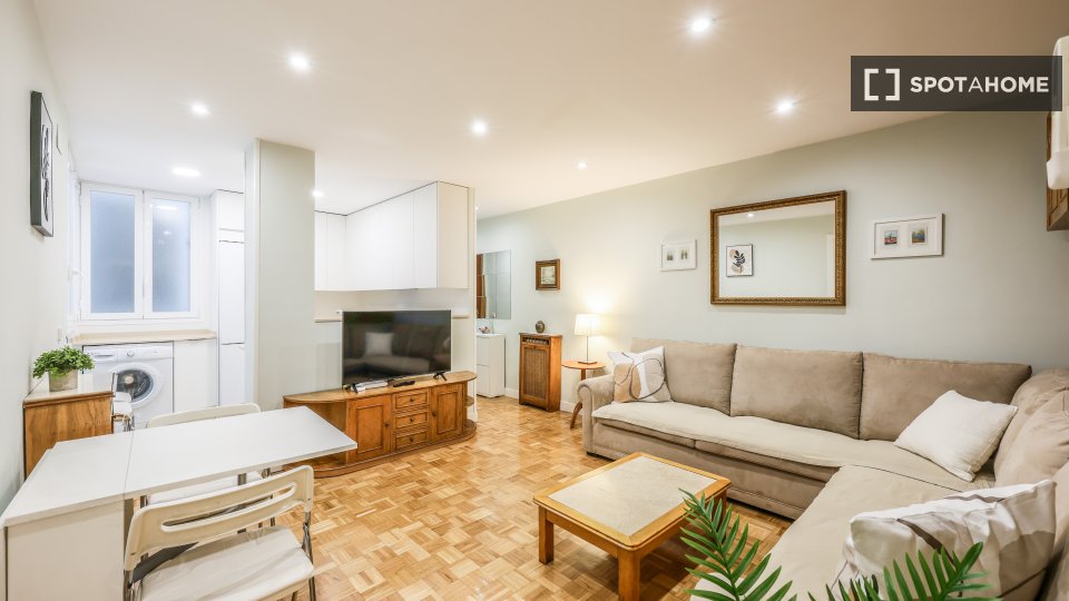 Apartment Madrid, 2 beds — photo 4