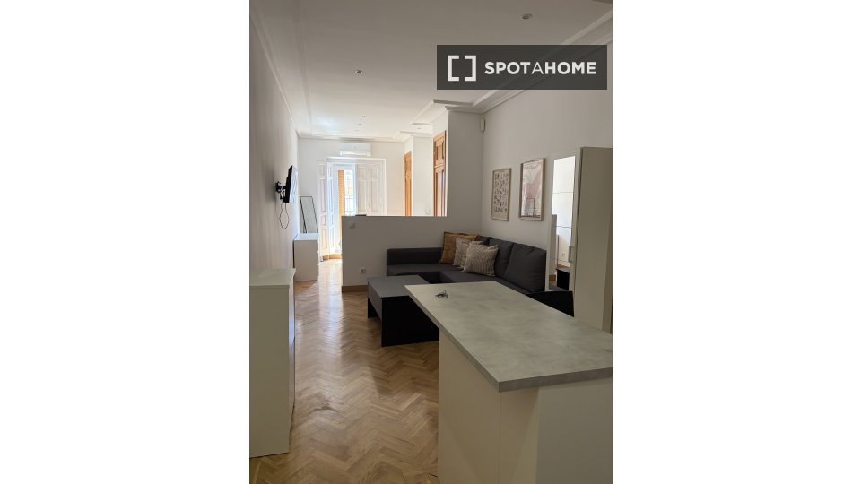 Apartment mono Madrid, 50m² — photo 6