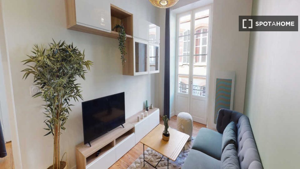 Double room Toulouse, 5 beds, 120m² — photo 20