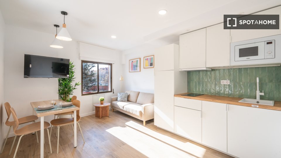 Apartment mono Madrid, 30m² — photo 11