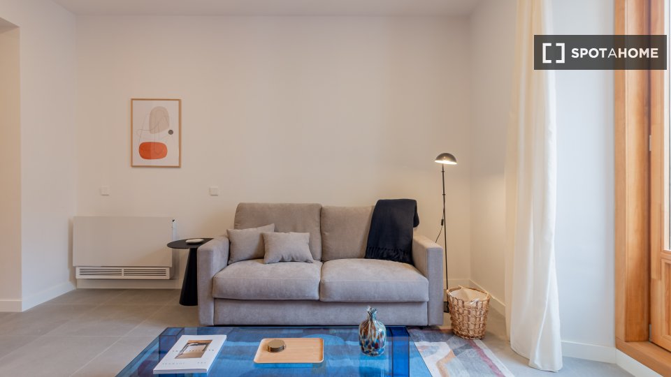 Apartment Madrid, 1 bed — photo 3