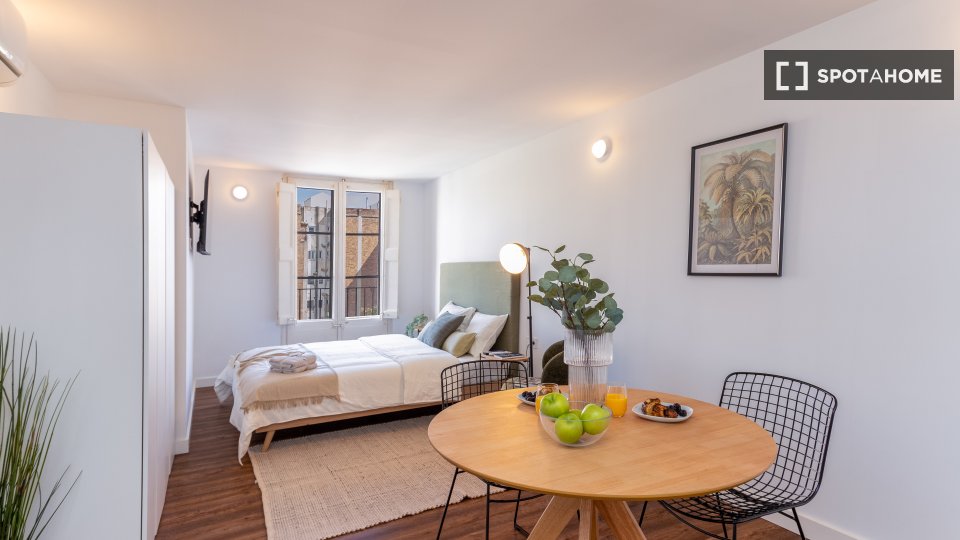 Apartment mono Barcelona, 35m² — photo 6