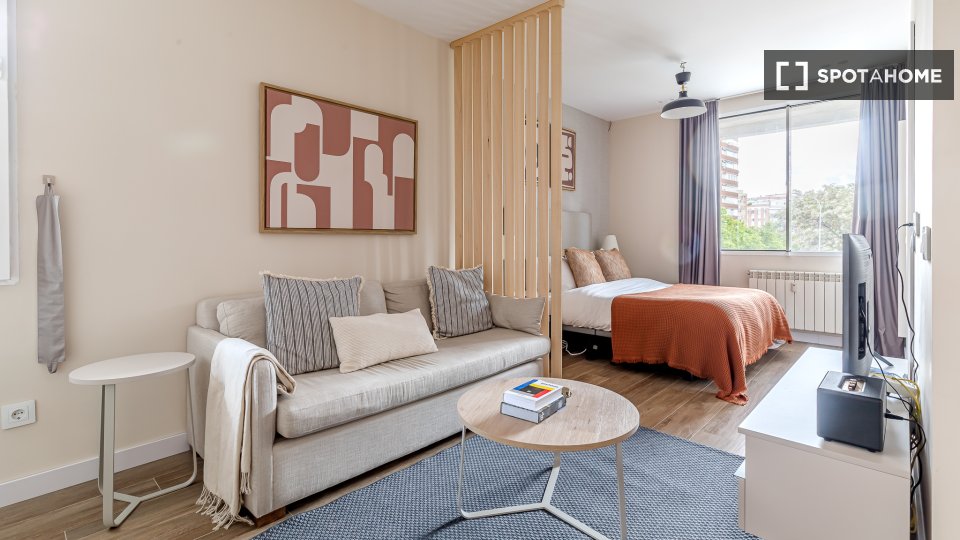 Apartment mono Madrid, 30m² — photo 6