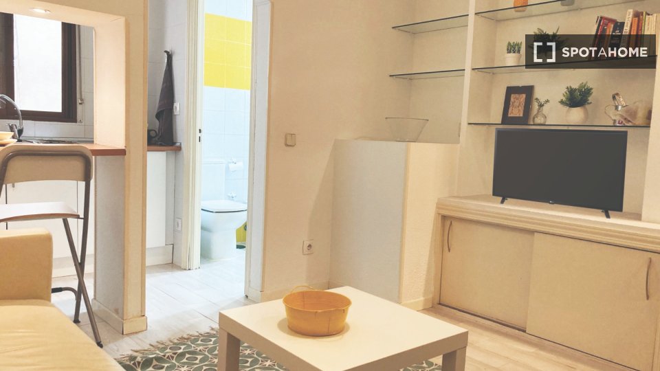 Apartment Madrid, 1 bed — photo 4