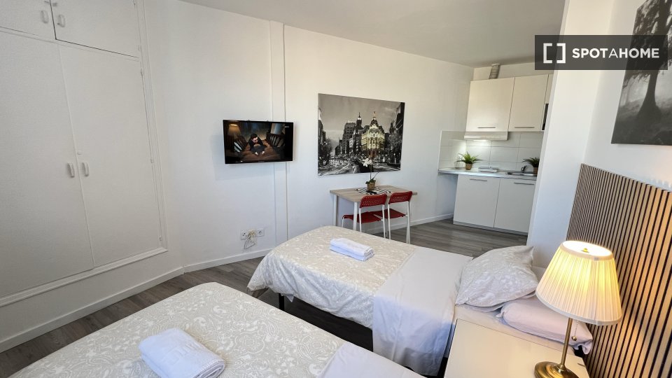 Apartment mono Madrid — photo 23
