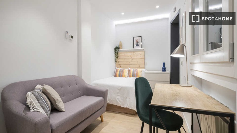 Double room Madrid, 1 bed — photo 47
