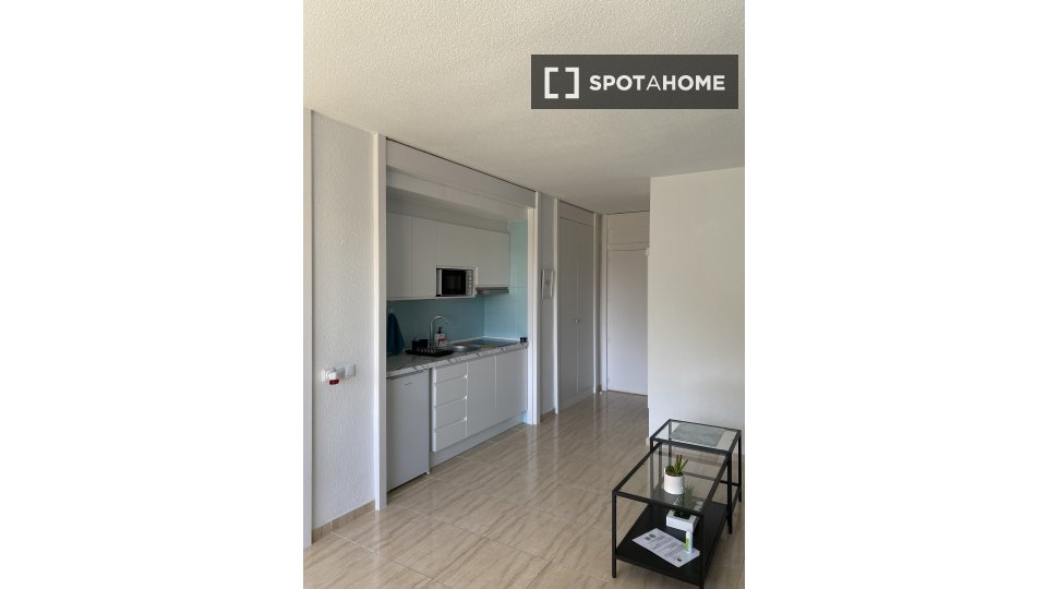 Apartment mono Palma_De_Mallorca, 50m² — photo 2