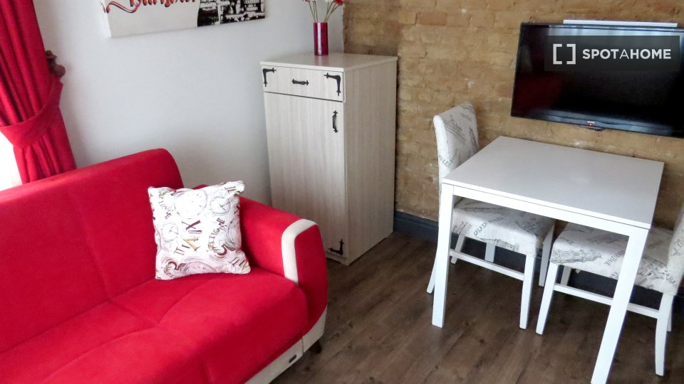 Apartment Istanbul, 1 bed, 55m² — photo 11