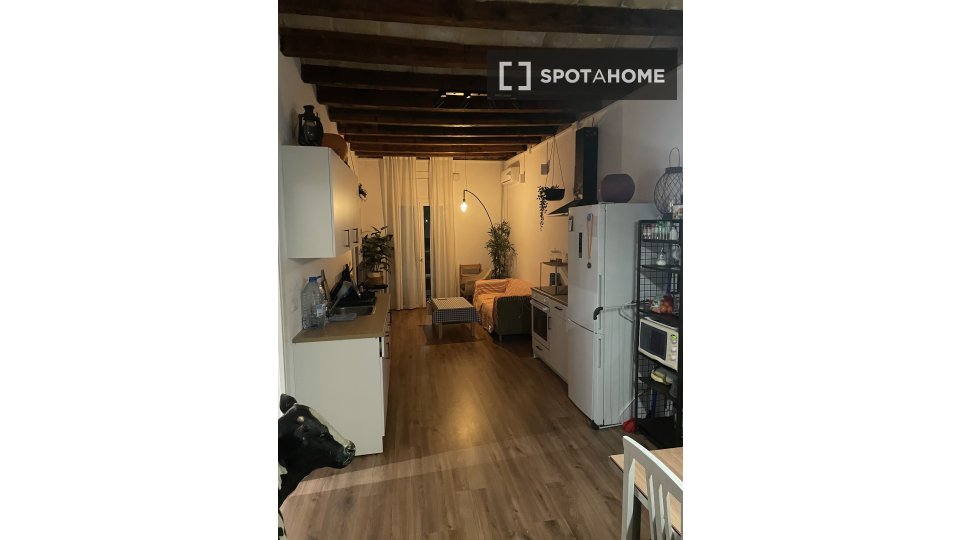 Double room Barcelona, 2 beds, 65m² — photo 8