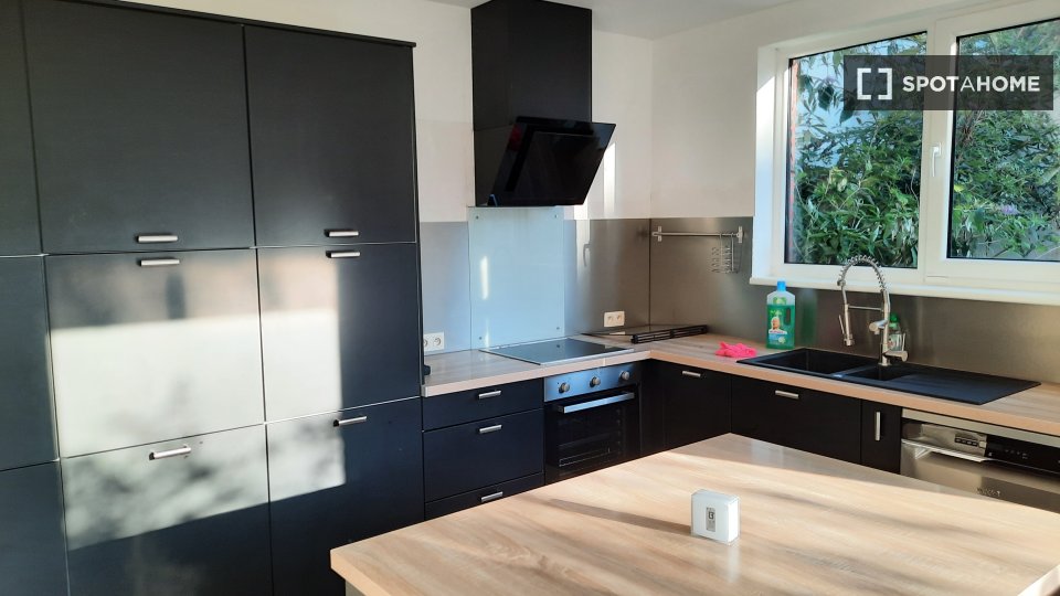 Apartment Ghent, 3 beds — photo 5