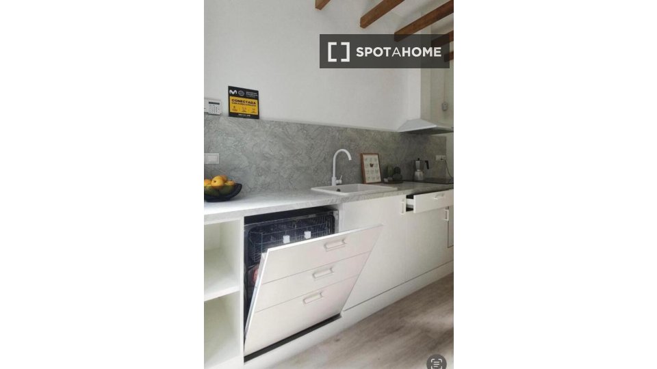 Apartment Madrid, 1 bed — photo 3