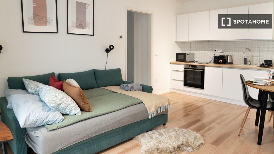 Apartment mono Budapest, 45m² — photo 30