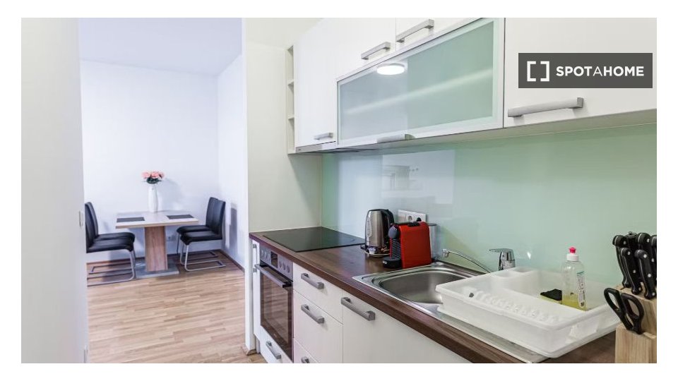 Apartment Vienna, 1 bed, 50m² — photo 5