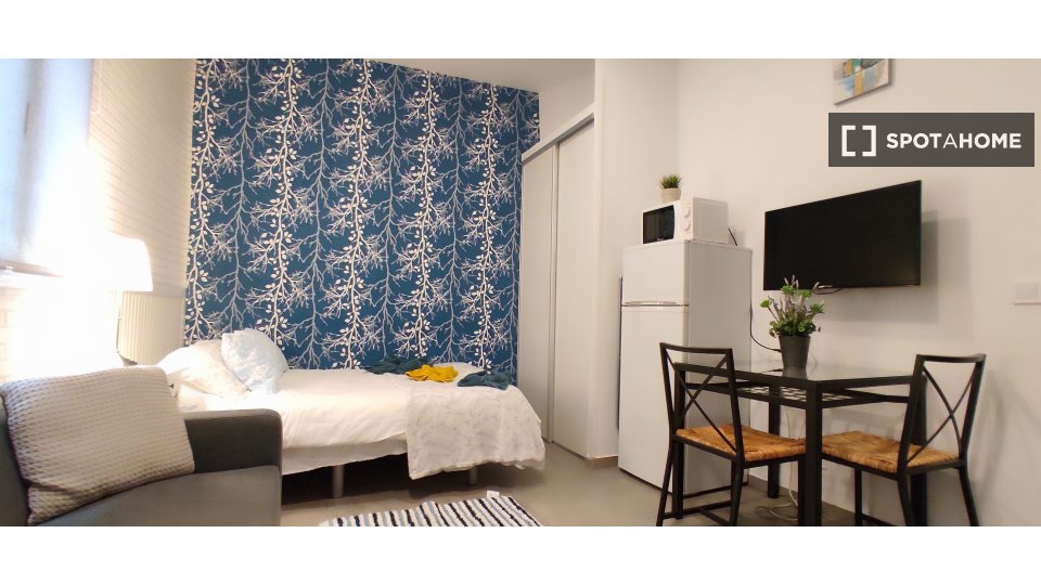 Apartment mono Madrid — photo 13