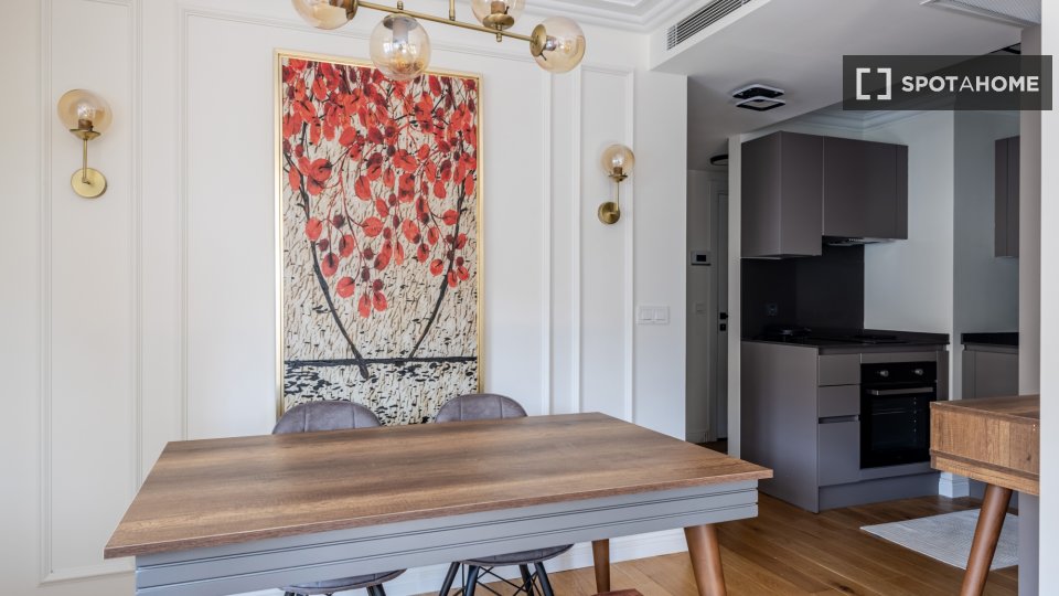 Apartment Istanbul, 1 bed — photo 15