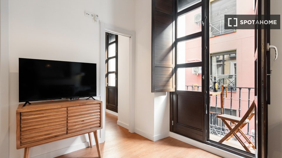 Apartment Madrid, 1 bed, 40m² — photo 8