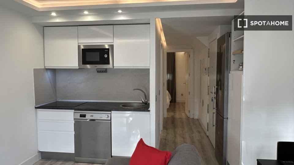 Apartment Madrid, 1 bed — photo 17