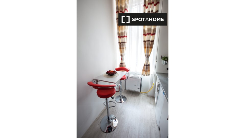 Apartment mono Budapest, 25m² — photo 4