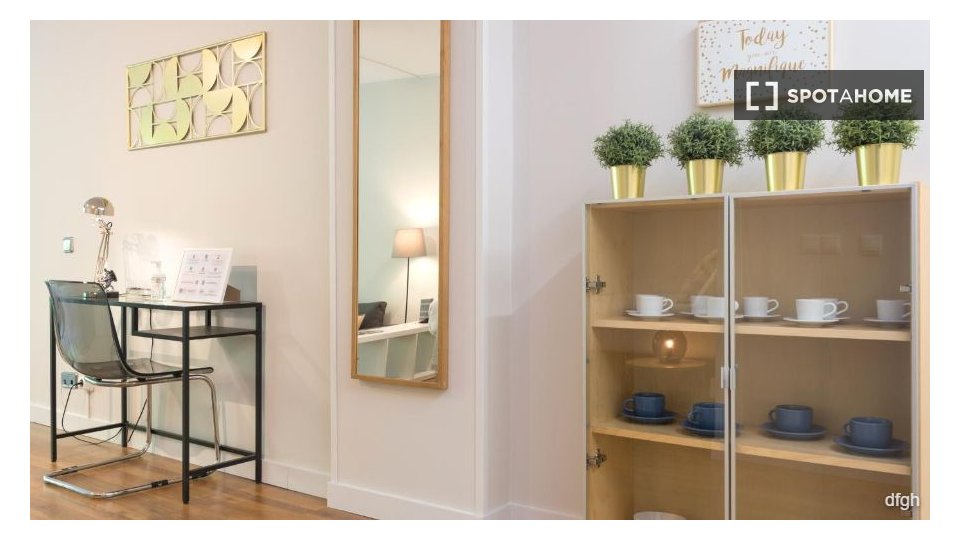 Apartment Madrid, 1 bed — photo 14