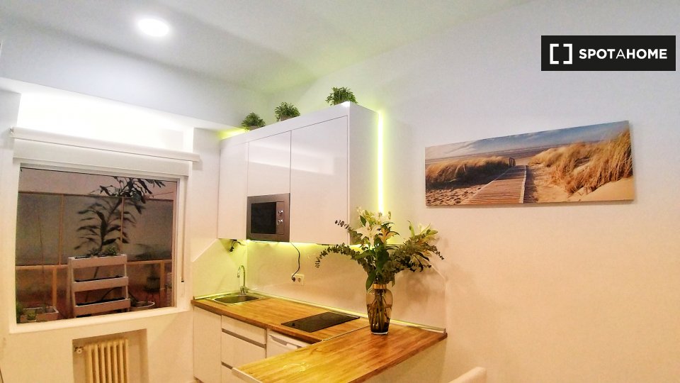 Apartment mono Madrid, 26m² — photo 2