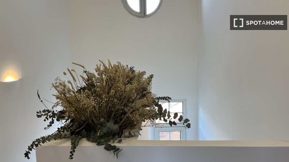 Apartment mono Madrid, 20m² — photo 6