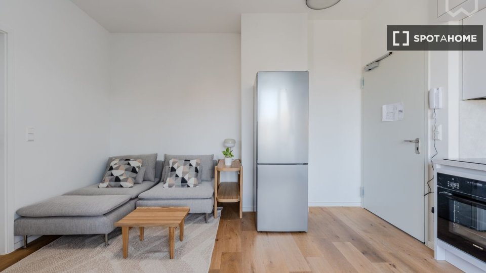 Apartment mono Berlin, 30m² — photo 8