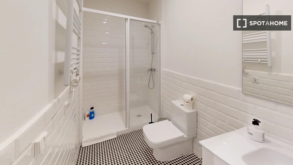 Apartment Madrid, 1 bed — photo 8