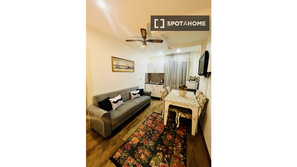 Apartment Istanbul, 1 bed, 48m² — photo 11