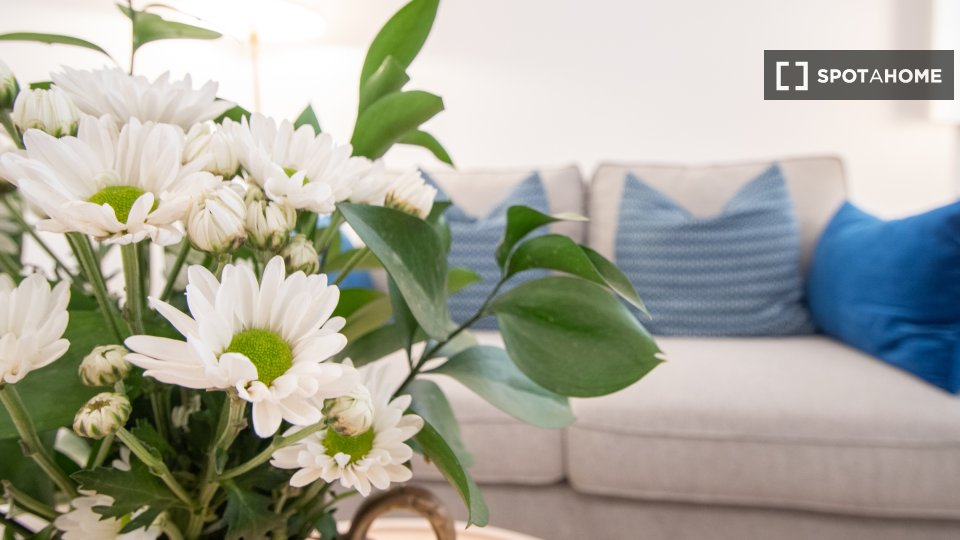 Apartment mono Cadiz, 50m² — photo 18