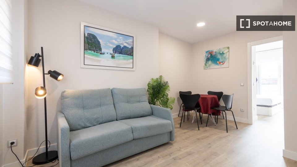 Apartment Madrid, 1 bed — photo 11