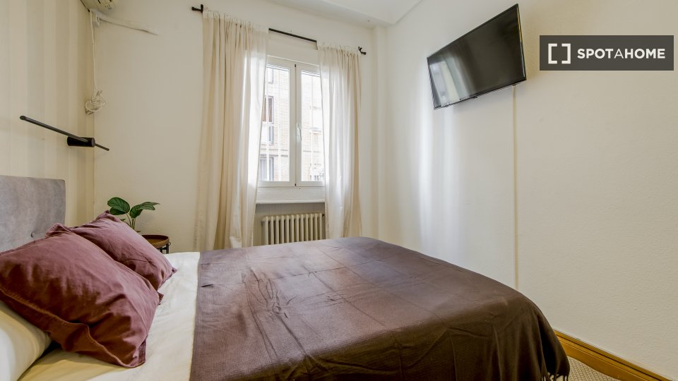 Double room Madrid, 5 beds, 120m² — photo 48