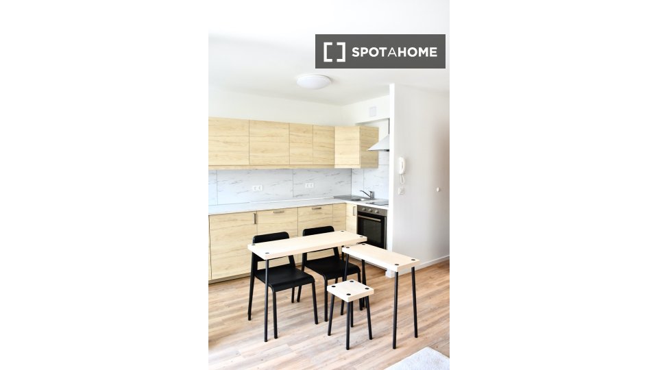 Apartment mono Budapest, 35m² — photo 6