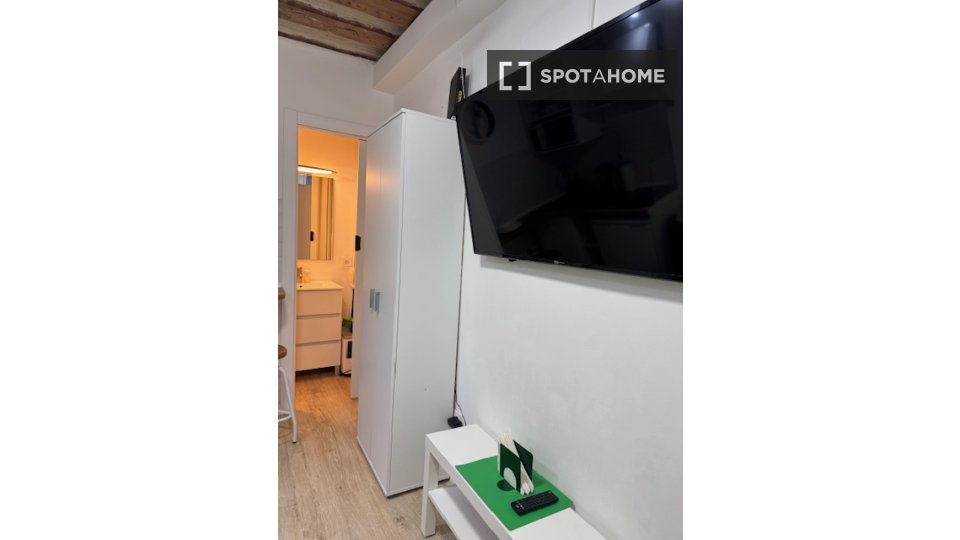 Apartment mono Madrid, 13m² — photo 8