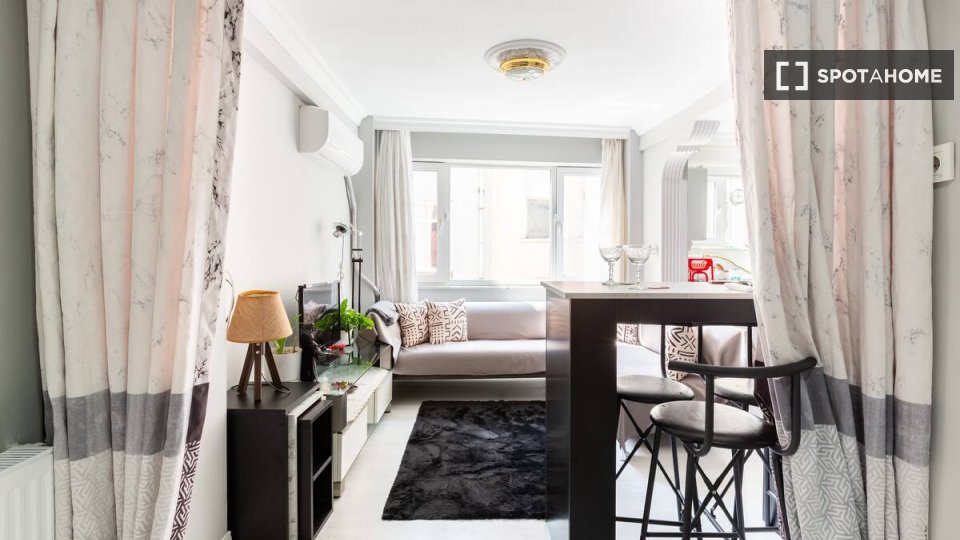 Apartment mono Istanbul, 50m² — photo 13