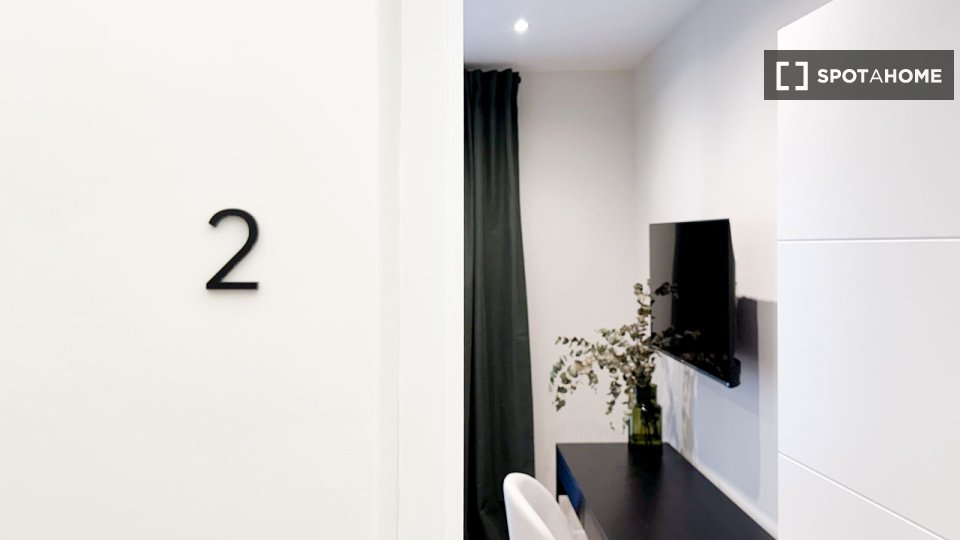 Double room Madrid, 5 beds, 100m² — photo 4