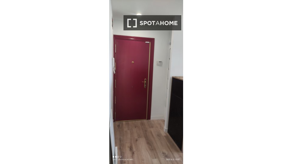Double room Madrid, 4 beds, 100m² — photo 8