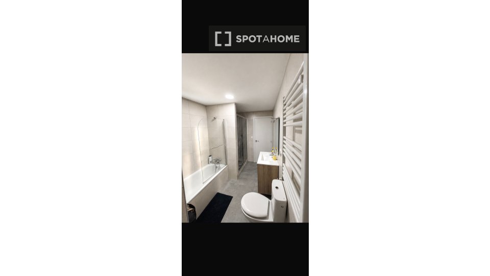 Double room Madrid, 1 bed, 120m² — photo 4