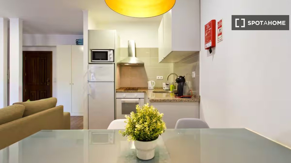 Apartment Porto, 1 bed — photo 8