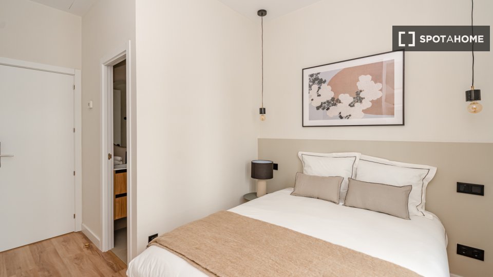 Apartment mono Madrid, 17m² — photo 4