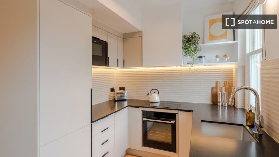 Apartment Madrid, 1 bed — photo 8