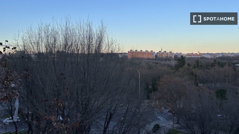 Double room Madrid, 5 beds, 110m² — photo 19