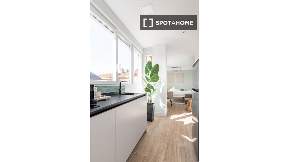 Apartment mono Madrid, 17m² — photo 7