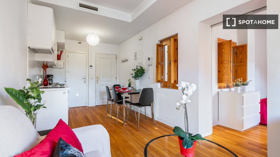 Apartment Madrid, 1 bed — photo 9