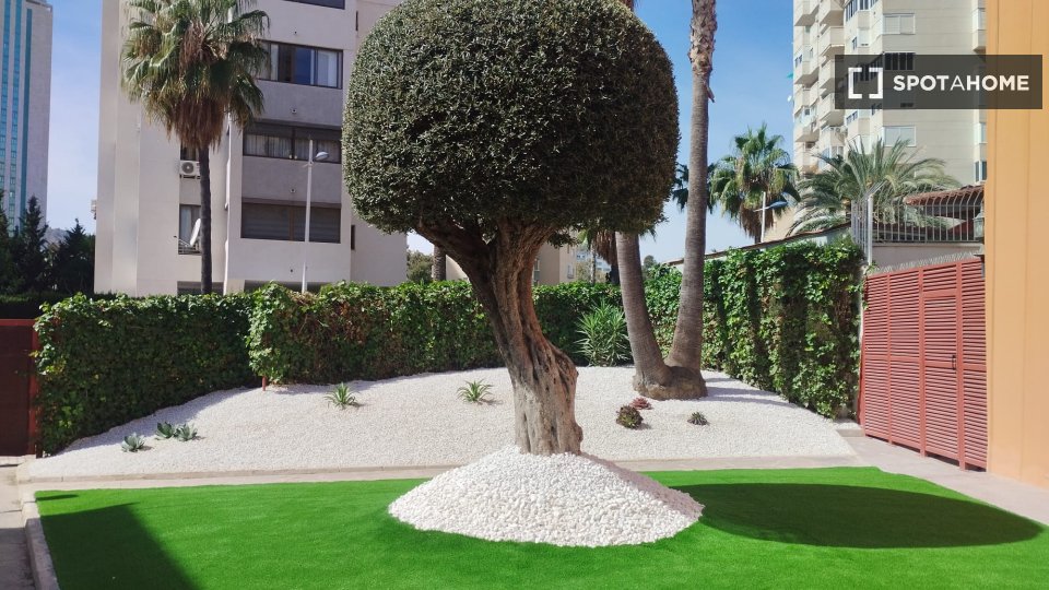 Apartment Alicante, 2 beds, 80m² — photo 2